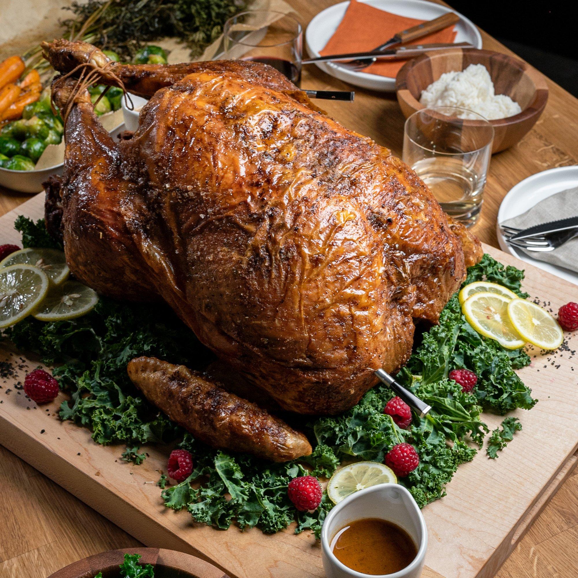 traeger-meater-plus-honey-lifestyle-chicken